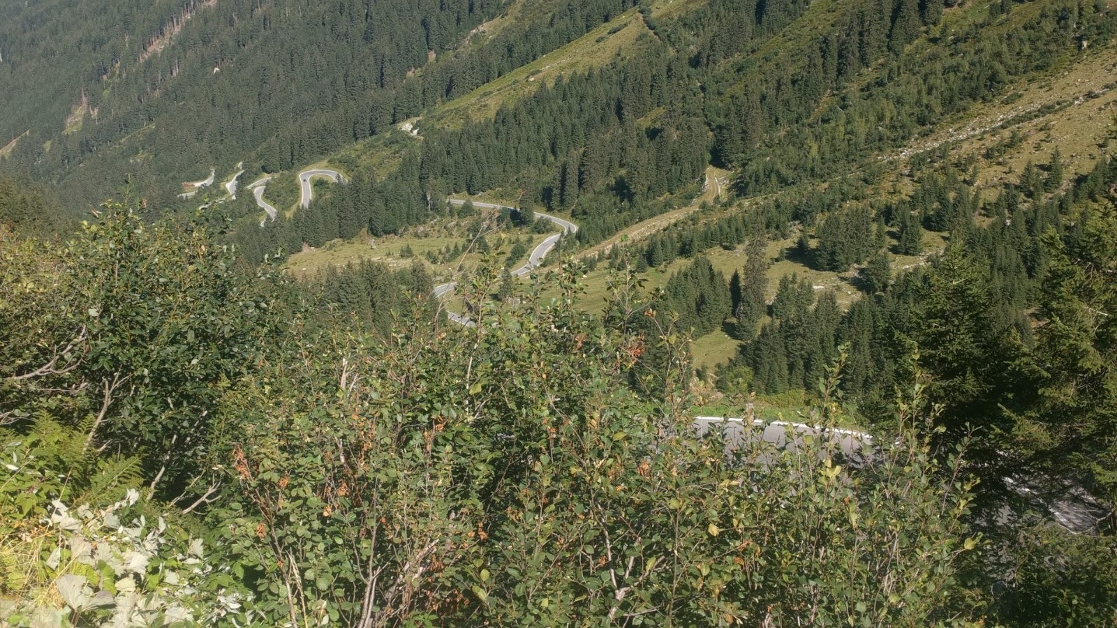 MünchenFernpassHahntennjochFlexenpassArlbergpassSilvrettapassBodenseeMünchen Rennrad
